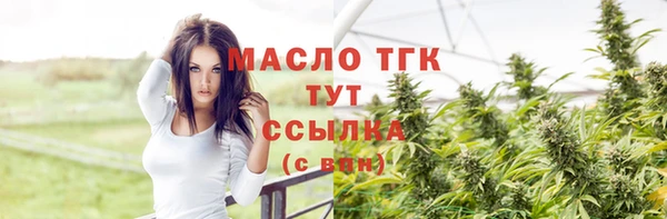 индика Арсеньев