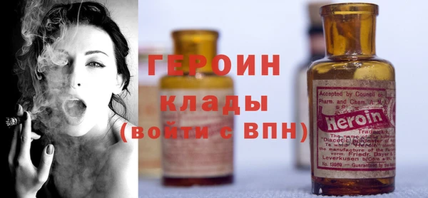индика Арсеньев