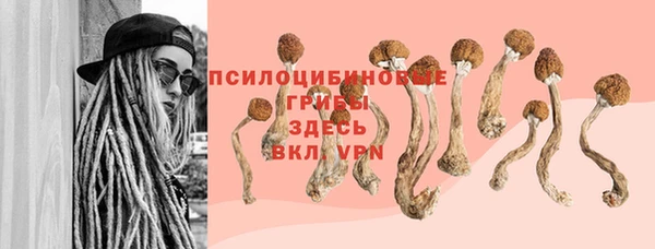 индика Арсеньев