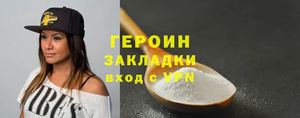 индика Арсеньев