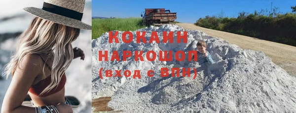 индика Арсеньев