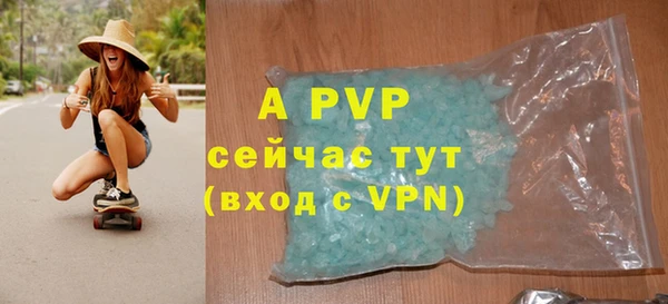 индика Арсеньев