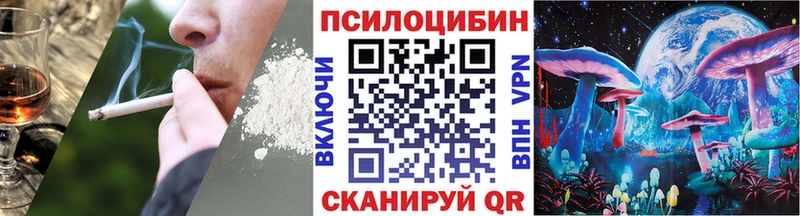 Псилоцибиновые грибы Psilocybine cubensis Купить где Санкт-Петербург